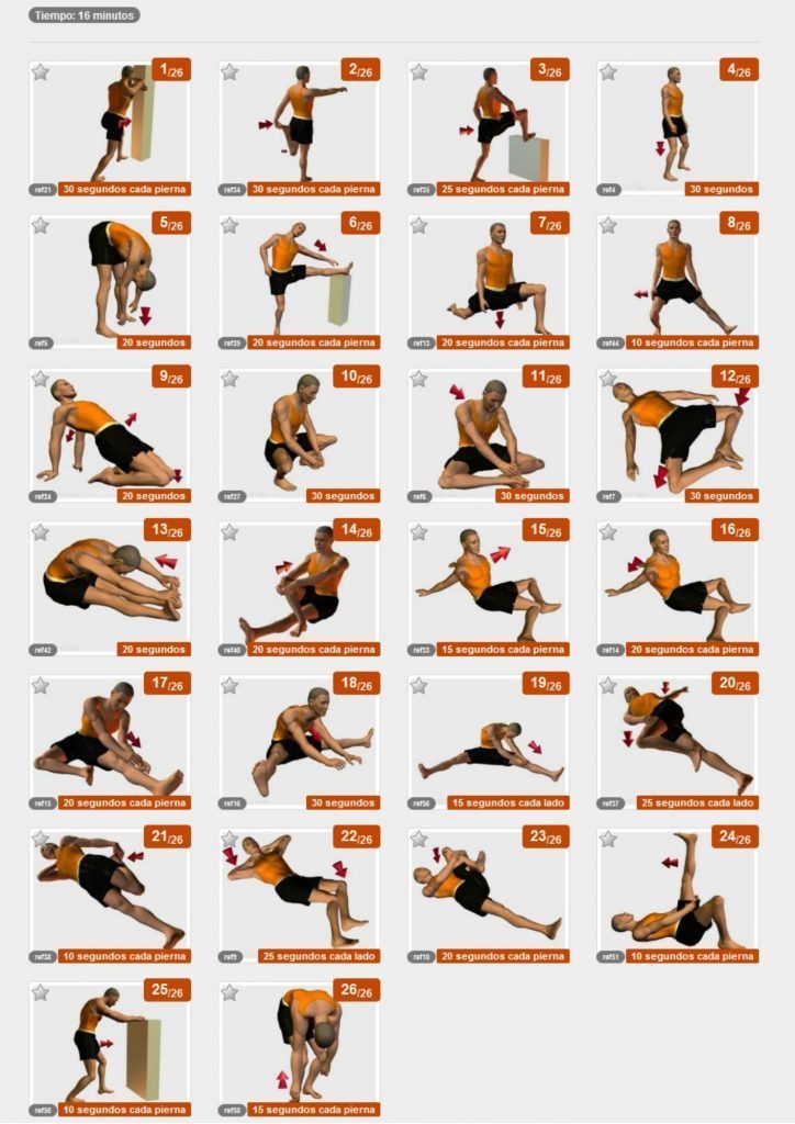 Estiramientos de tren inferior: piernas , gluteos, cadera.